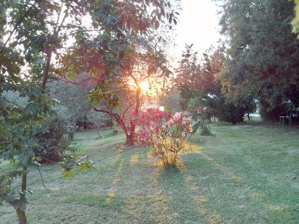 Agriturismo La Torre Di Monsindoli Сиена Екстериор снимка