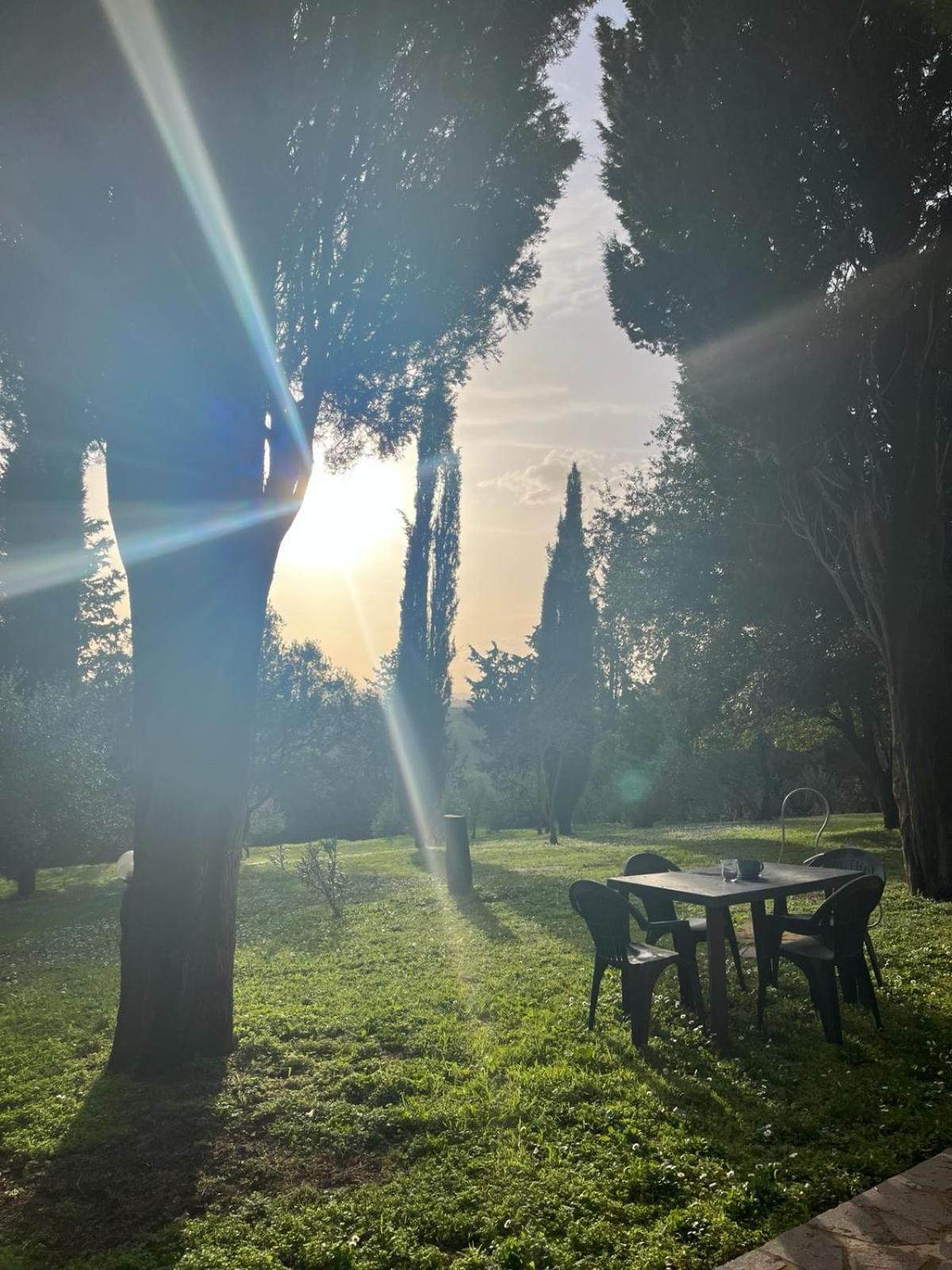 Agriturismo La Torre Di Monsindoli Сиена Екстериор снимка