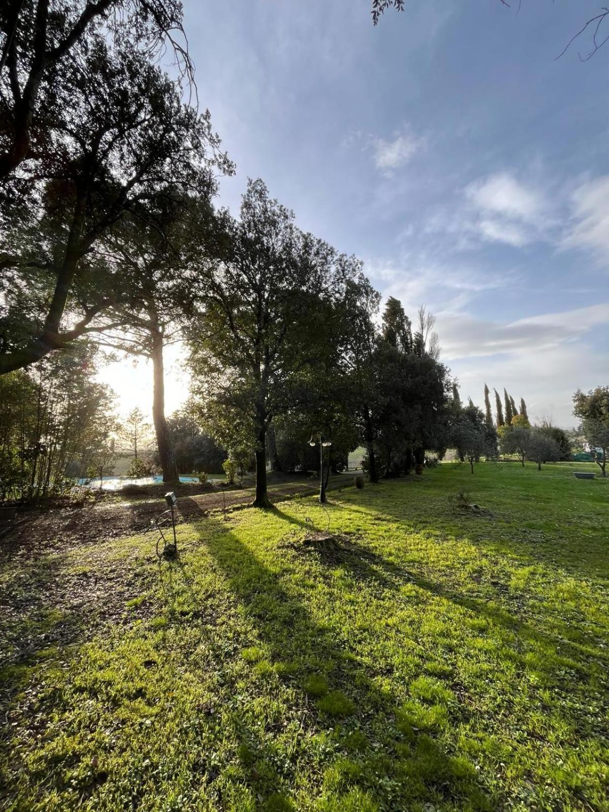 Agriturismo La Torre Di Monsindoli Сиена Екстериор снимка